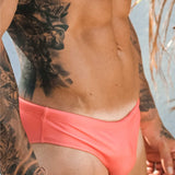 Sol Brief
