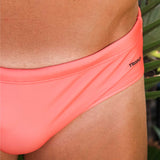 Sol Brief