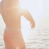 Sol Brief